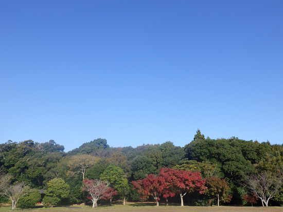 【はままつの空2023】11/27～12/3　一週間の空の欠片まとめ
