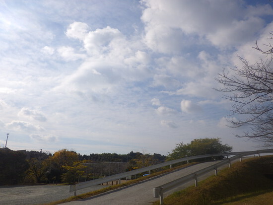 【はままつの空2023】11/27～12/3　一週間の空の欠片まとめ