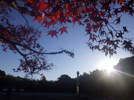 【はままつの空2023】11/27～12/3　一週間の空の欠片まとめ