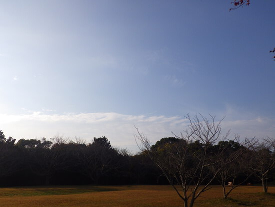 【はままつの空2023】12/11～12/17　一週間の空の欠片まとめ