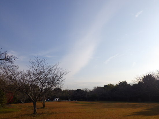 【はままつの空】12/11～12/17　一週間の空の欠片まとめ