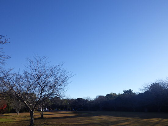 【はままつの空】12/11～12/17　一週間の空の欠片まとめ