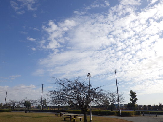 【はままつの空2023】12/11～12/17　一週間の空の欠片まとめ