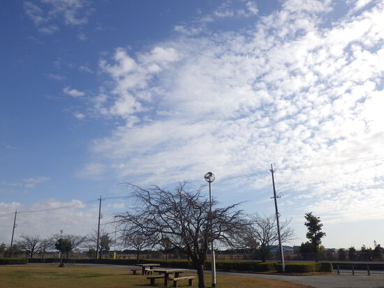 【はままつの空】12/11～12/17　一週間の空の欠片まとめ