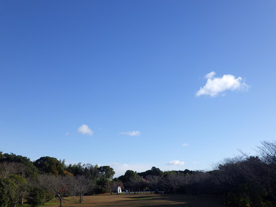 【はままつの空】12/11～12/17　一週間の空の欠片まとめ