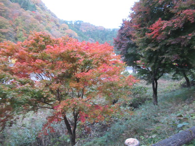 昼神温泉界隈の紅葉