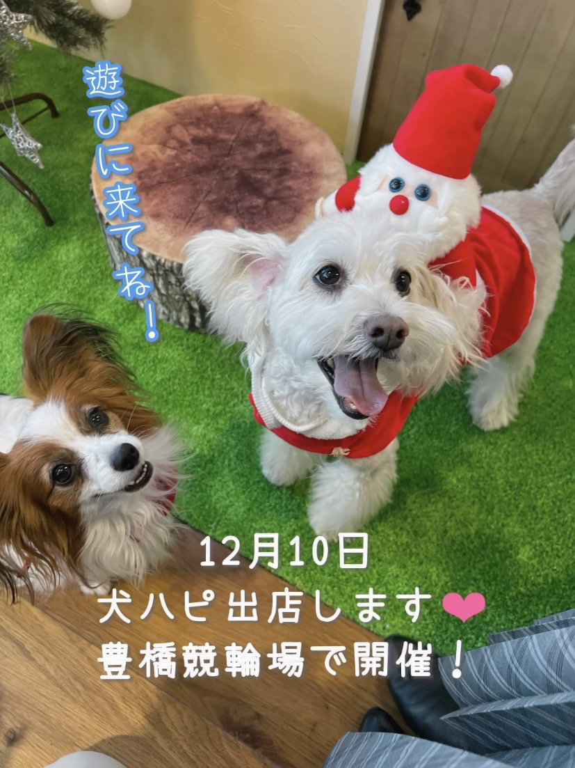 12月10日犬ハピイベント出店！