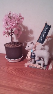 染太郎桜・・・今年も咲きました