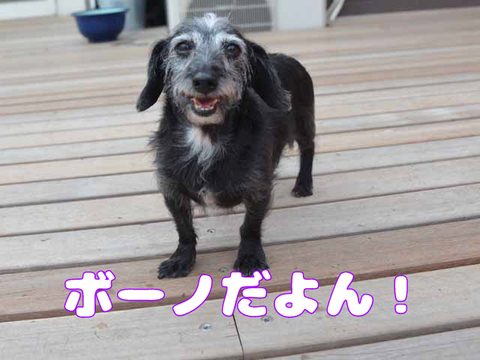みんな元気いっぱい！
