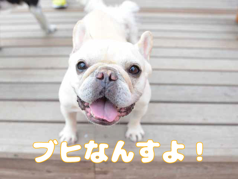 みんな元気いっぱい！