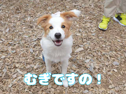 みんな元気いっぱい！