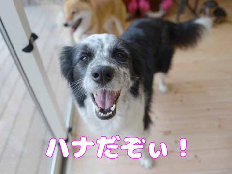 みんな元気いっぱい！