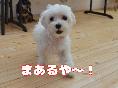 みんな元気いっぱい！