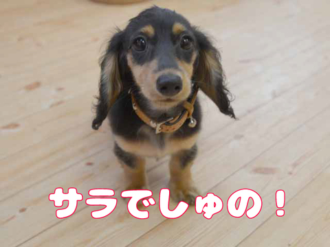 みんな元気いっぱい！