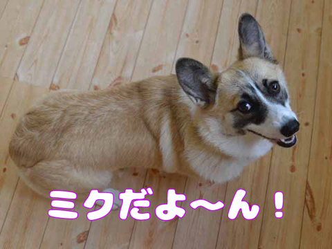 みんな元気いっぱい！