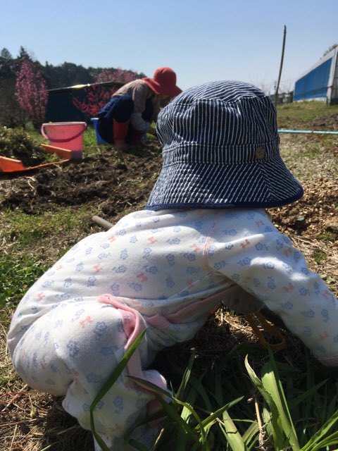 みんなで草取り
