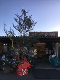 今年最後の壺焼き芋！ 2020/12/20 07:27:36