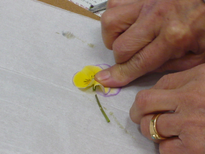 “和の森”ってこんな店・・・「押し花アート」