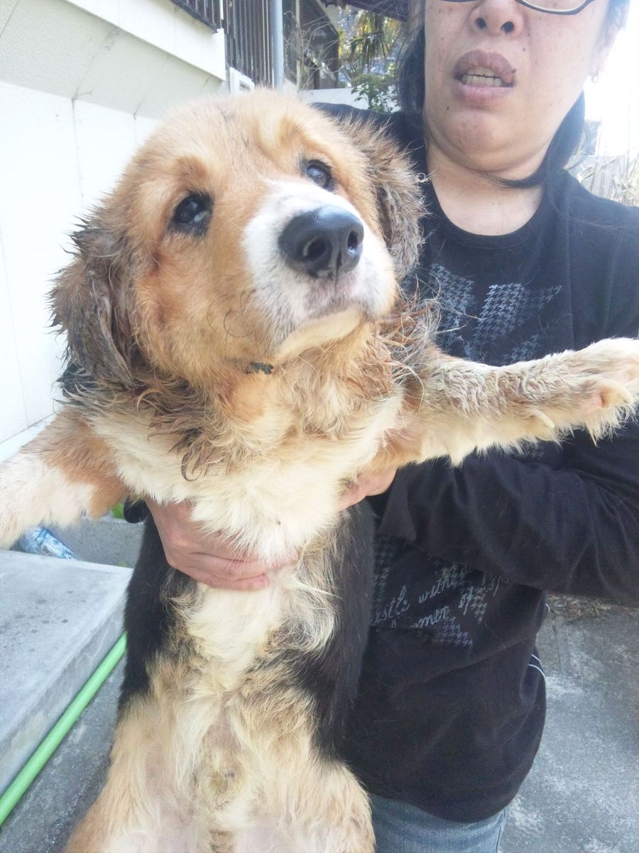 忙しすぎて・・・。