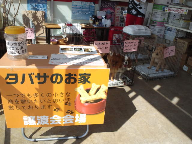 お家に戻りました。