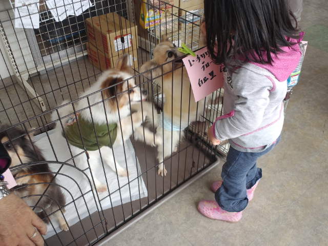 ありがとうございました☆