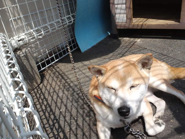 新メンバーちゃん達☆
