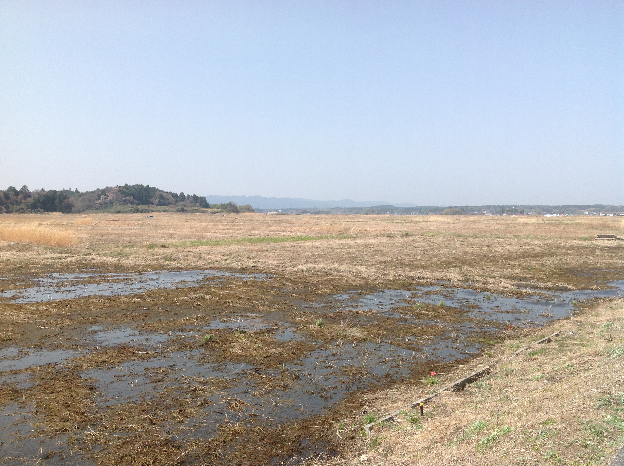 福島県双葉郡浪江地区（3）