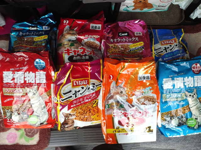 トライアル＆ショートスティ☆