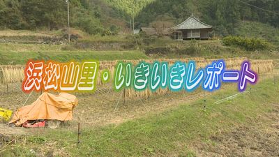 浜松山里・いきいきレポート 「いなさ人形劇まつり」編