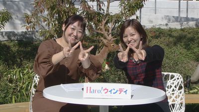 「Ｈａｒｏ！ウィンディ」の収録☆