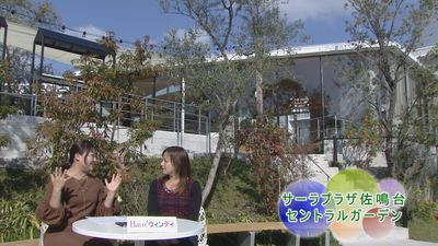 「Ｈａｒｏ！ウィンディ」の収録☆