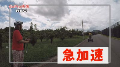 「Ｈａｒｏ！ウィンディ」でフルーツパークの入園券が当たる！？