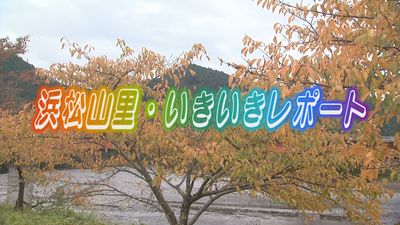 浜松山里・いきいきレポート「はるの産業まつり」編