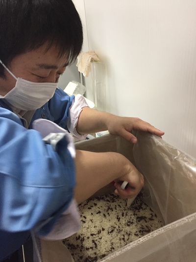 五目御飯作り1