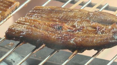 今年もやります【湖西おいでん祭】生中継