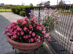 菊川市下平川☆２DK