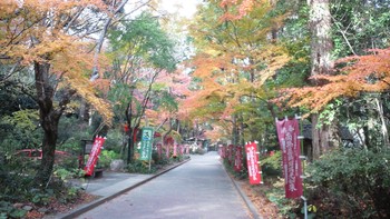 油山寺へ・・☆