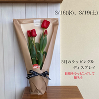 春にお花を贈ろう！鉢花のラッピングレッスン 2022/02/27 13:54:55