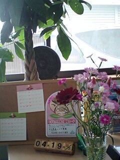 売り出しDAY☆