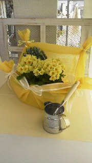 カラーヒーリングイエロー 2012/03/10 12:49:03