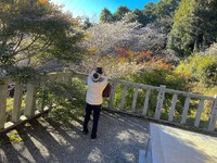 桜と紅葉が同時に見られる光明寺と ２３日（木・祝）の診療時間のお知らせ 2023/11/21 20:10:38