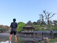 奈良旅行～早朝の観光地ラン～