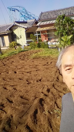 土用の間日に畑。