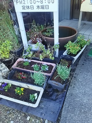 花の植え替え、しめ飾り。