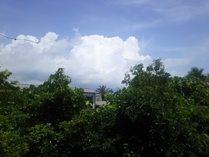 久しぶりの青空。