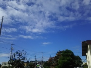 晴れてきました。