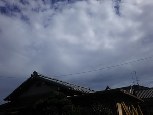 晴れてきました。
