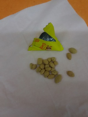 今日は、豆まき。