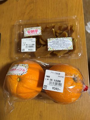 zoom勉強会。