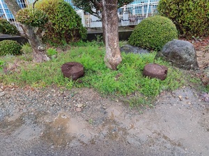 ＮＰＯハーモニーへ。